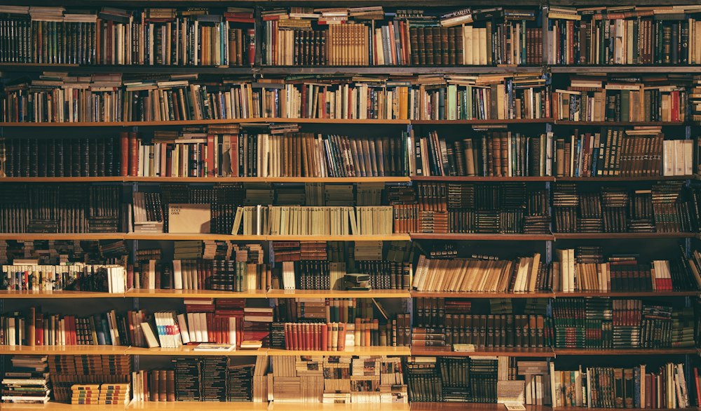 Floor-to-ceiling wooden shelves filled with sorted books